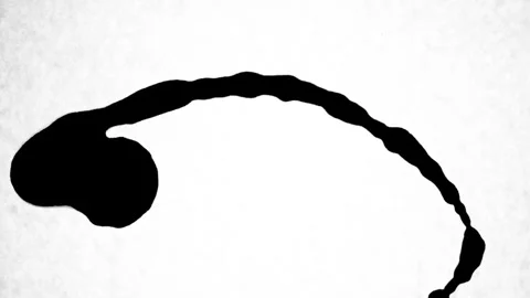 Spraying black paint on a white background Stock Footage 303171600