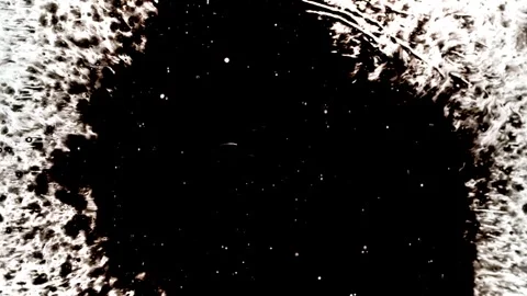Spraying black paint on a white background Stock Footage 303171765