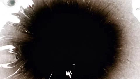 Spraying black paint on a white background Video stock 303171767