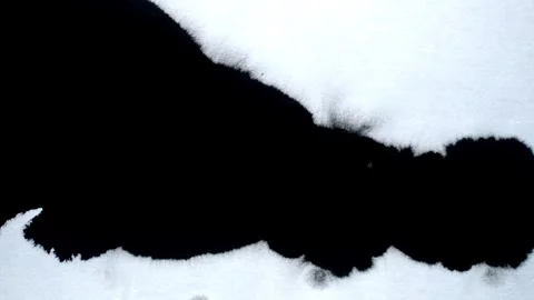 Spraying black paint on a white background Stock Footage 303171768