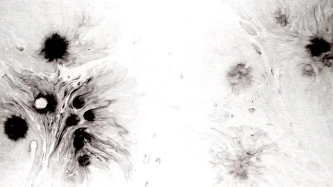 Spraying black paint on a white background Stock Footage 303171902