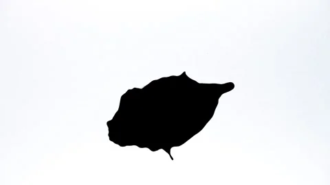 Spraying black paint on a white background Stock Footage 303171934