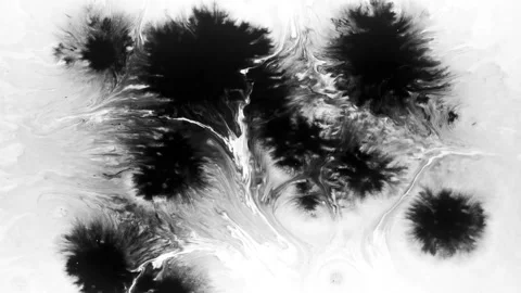 Spraying black paint on a white background Stock Footage 305492610