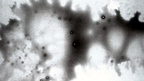Spraying black paint on a white background Stock Footage 305492624