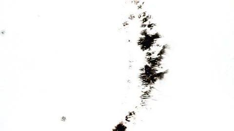 Spraying black paint on a white background Stock Footage 305492681