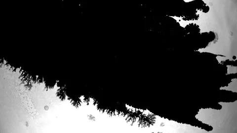 Spraying black paint on a white background Stock Footage 305492972