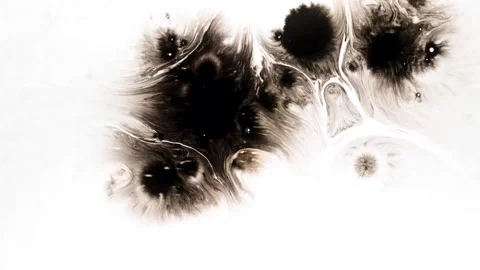 Spraying black paint on a white background Stock Footage 305492999