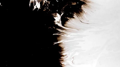 Spraying black paint on a white background Stock Footage 305493028