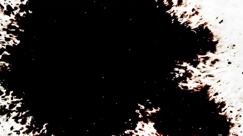 Spraying black paint on a white background Stock Footage 305493030