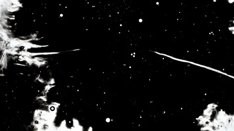 Spraying black paint on a white background Video stock 305493036