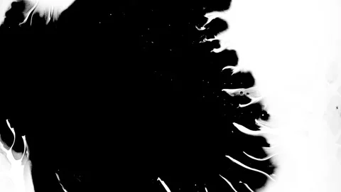 Spraying black paint on a white background Stock Footage 305493066