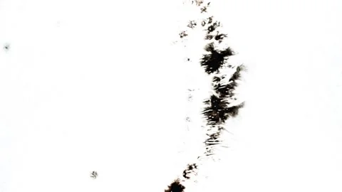 Spraying black paint on a white background Stock Footage 305493071