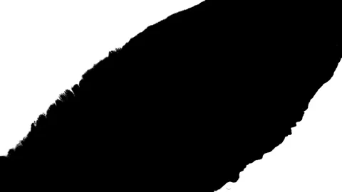 Spraying black paint on a white background Stock Footage 305493091