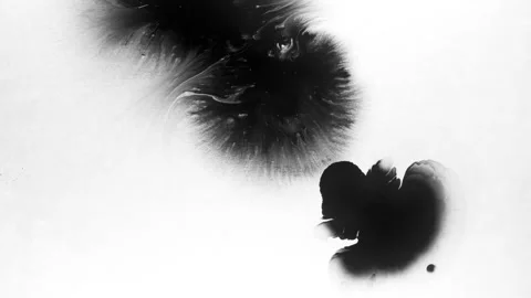 Spraying black paint on a white background Stock Footage 305493111