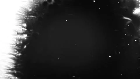 Spraying black paint on a white background Stock Footage 305493118