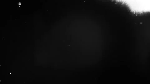 Spraying black paint on a white background Stock Footage 305493167