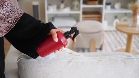 Spraying cleaning solution on sofa in living room Stock Footage 340244487