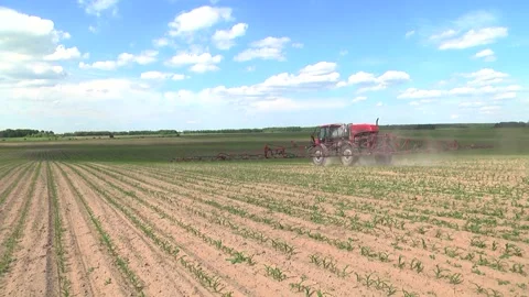 Spraying the corn field. Application of plant protection products Stock Footage 145935437