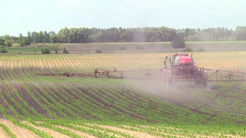 Spraying the corn field. Application of plant protection products Stock Footage 145935441