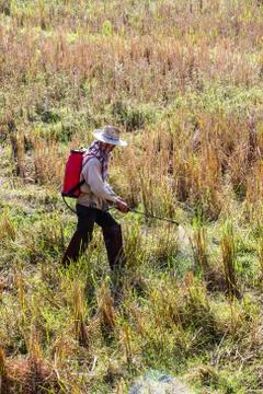 Spraying in field Stock Photos