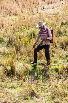 Spraying in field Stock Photos