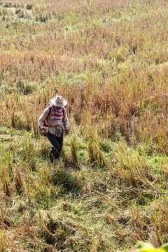 Spraying in field Stock Photos