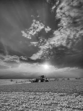 Spraying the field Stock Photos