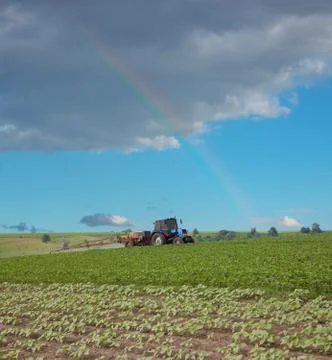 Spraying the field Stock Photos