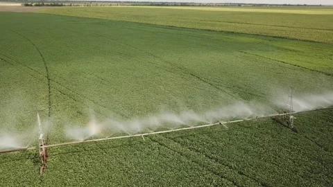 Spraying the field with water Stock Footage 114192855