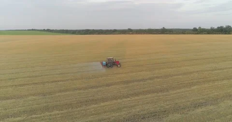 Spraying a field with wheat view from a drone. A tractor sprays wheat with 库存影片 196825424