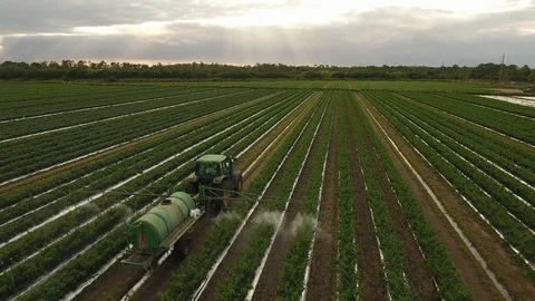 Spraying Fields Video stock 100615609