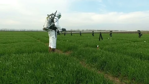 Spraying Fields With Herbicides . Farmer in Protective Clothing Working with a Stock Footage 77165954