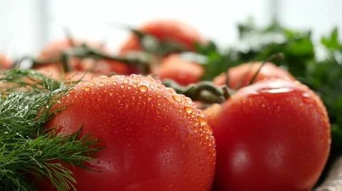 Spraying Fresh Tomatoes Stock Footage 55493677