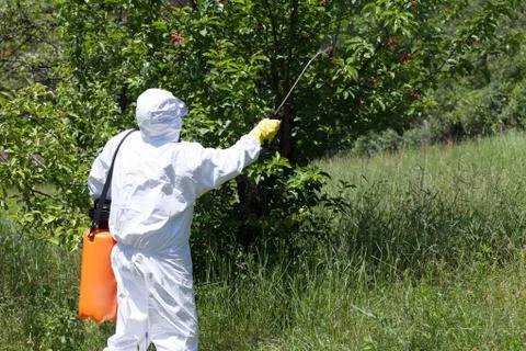 Spraying a fruit orchard Stock Photos