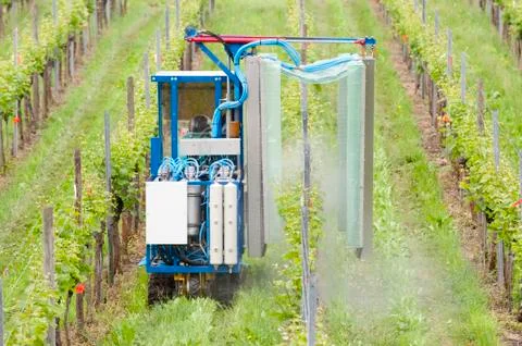 Spraying grape vines in the vineyard Stock Photos