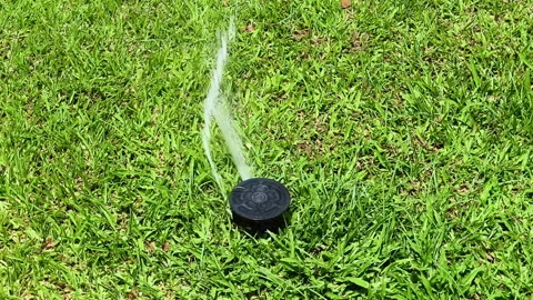 Spraying the grass with water at pressure Stock Footage 283889236