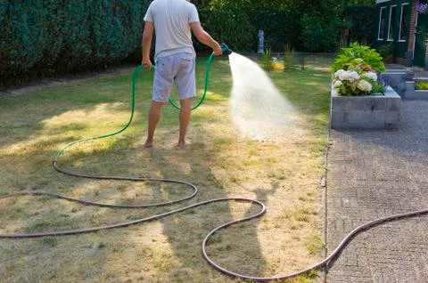 Spraying the lawn Stock Photos