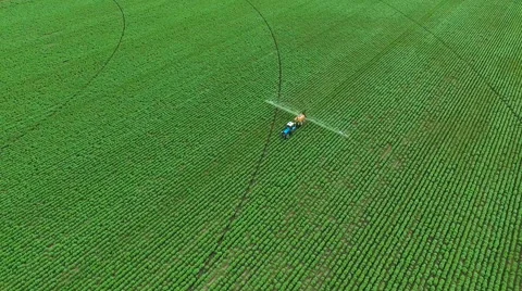 Spraying Potato Fields With Herbicides.The Protection Of Plants Stock Footage 64699389