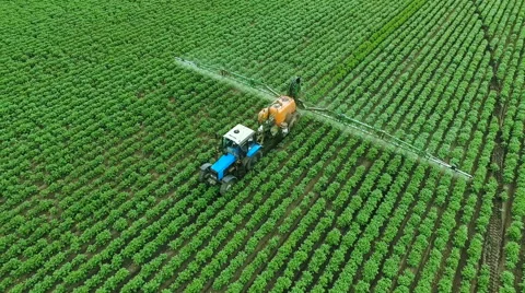 Spraying Potato Fields With Herbicides.The Protection Of Plants  Stock Footage 64700289