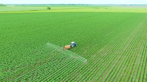 Spraying Potato Fields With Herbicides.The Protection Of Plants  Stock Footage 64700615