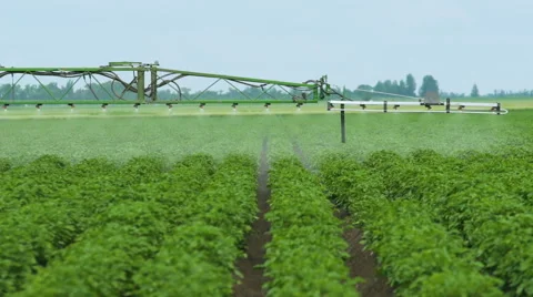 Spraying Potato Fields With Herbicides.The work of 3D nozzle sprayer Stock Footage 64745802