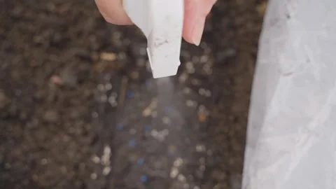 Spraying soil with seeds from a sprayer, close-up in slow motion Video stock 311403593