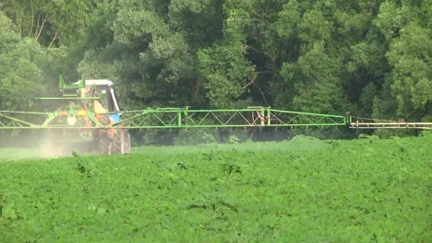 Spraying soybean fields. Application of plant protection products Stock Footage 145935450