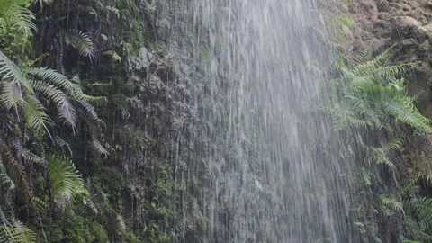 Spraying stream waterfall, Splashing mountain water in motion. Stock Footage 247747855