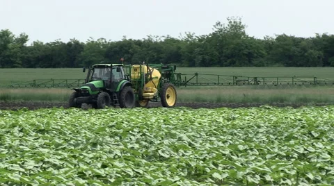 Spraying  sunflower 库存影片 52822922
