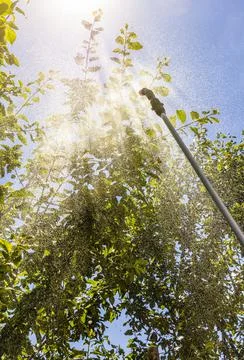 Spraying trees against pests Stock Photos