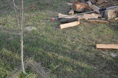 Spraying trees and plants with a solution to protect 库存照片