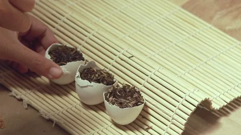 Spraying water on eggshells containing soil mix being use as a seed starter Stock Footage 310761219