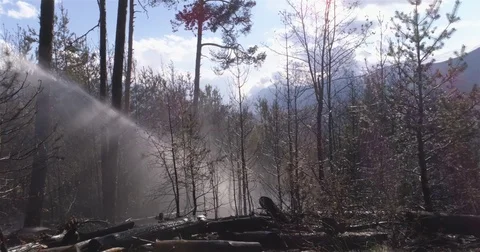 Spraying water, forest fire - 4K Stock Footage 75176789