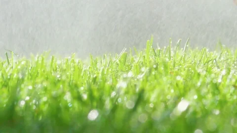 Spraying Water on Green Grass Видео 77377718